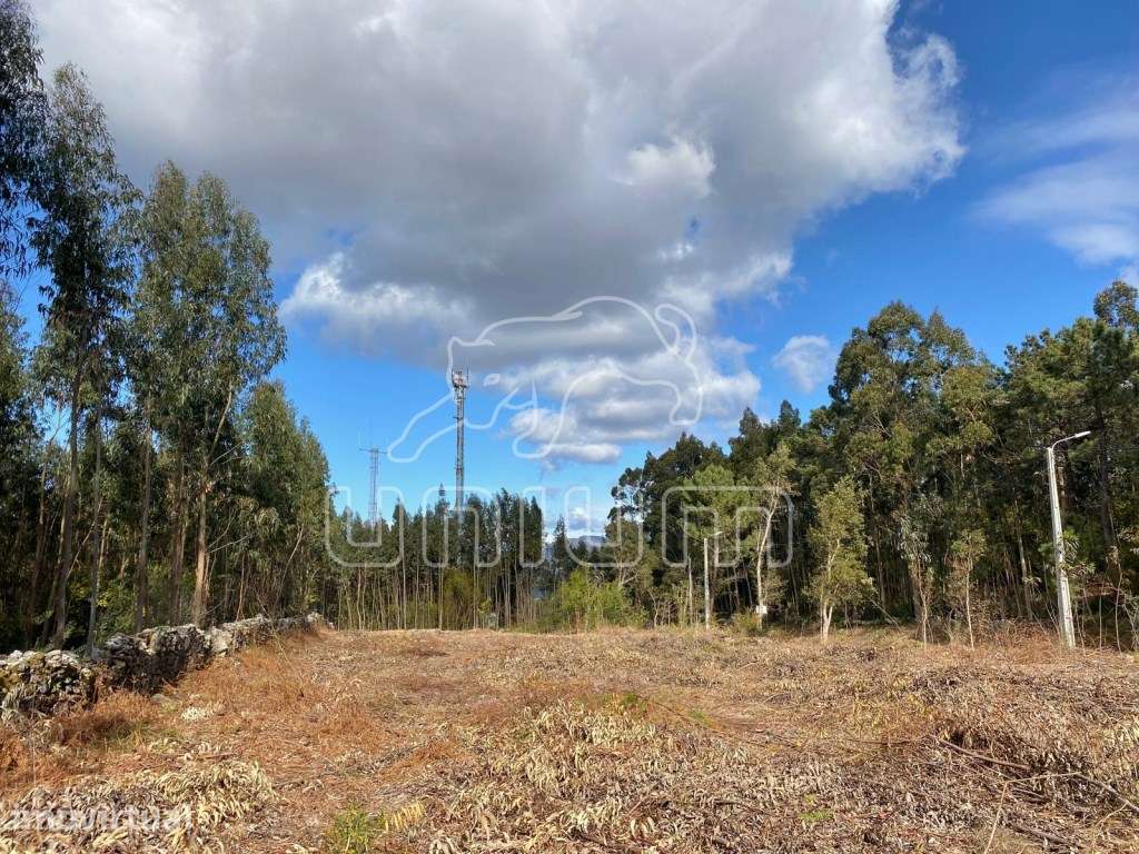 Terreno para construção perto de Stº Antão - Caminha - Grande imagem: 2/9