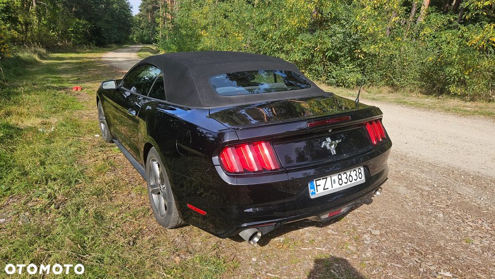 Ford Mustang - 8