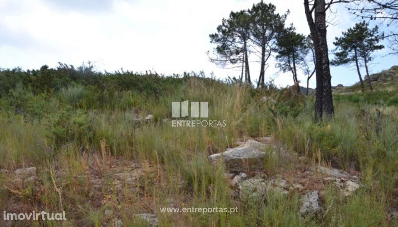 Venda Terreno, Sande, Marco de Canaveses - Grande imagem: 2/18