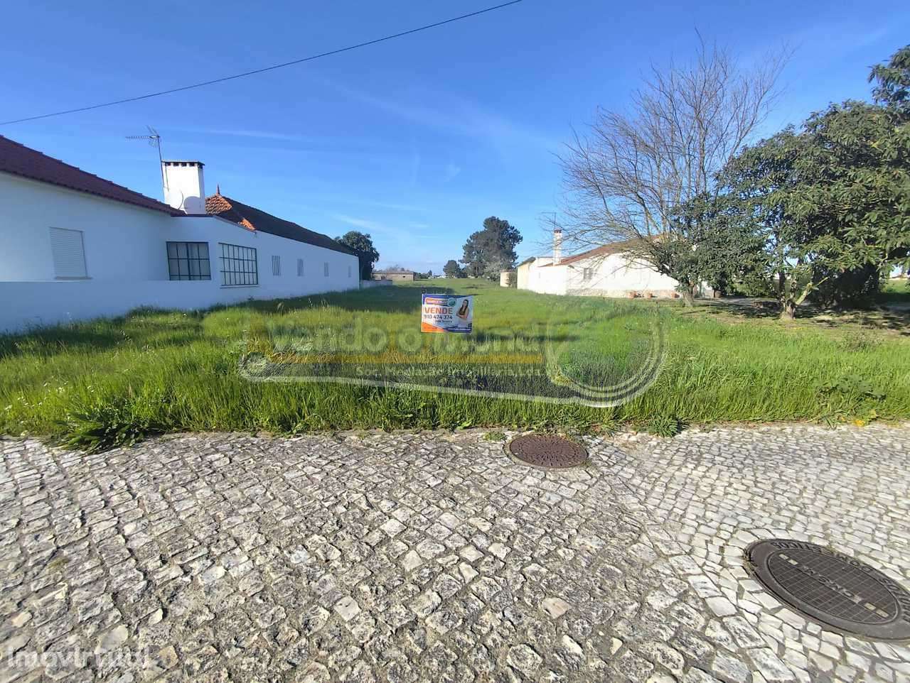 Terreno em Marinhais (M808) - Grande imagem: 4/5