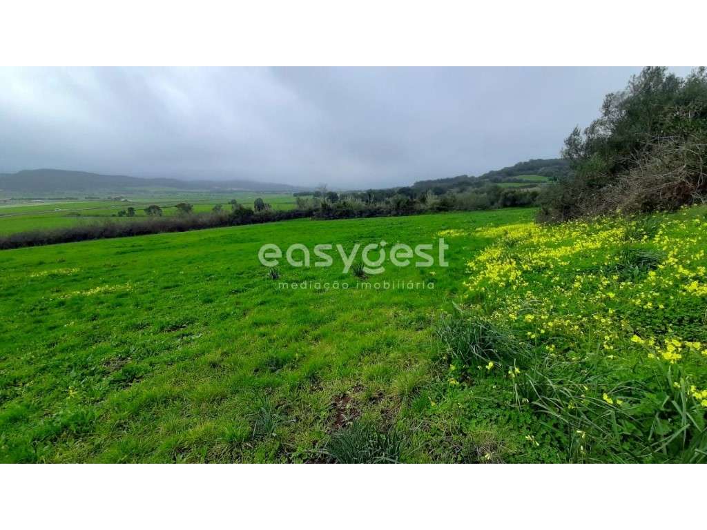 Terreno Rústico com 13960m2 a 2 km do centro de Pêro Pinheiro. - Grande imagem: 3/12