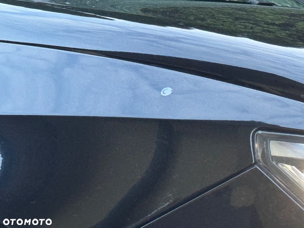 Seat Ibiza 1.2 TSI FR - 19