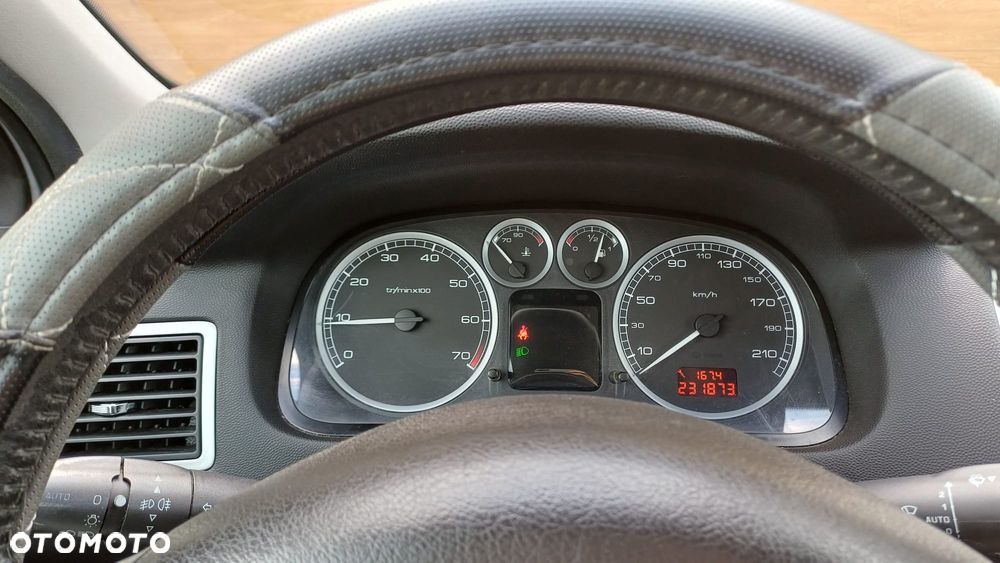 Peugeot 307 110 Grand Filou - 4