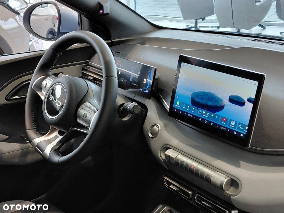 BYD Dolphin Surf - 19
