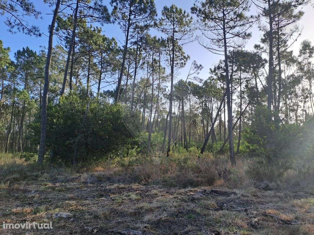 Terreno  para venda - Grande imagem: 4/5