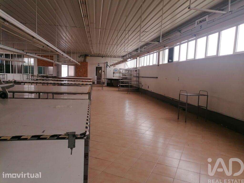 Hangar em Raimonda de 360,00 m2 - Grande imagem: 4/28