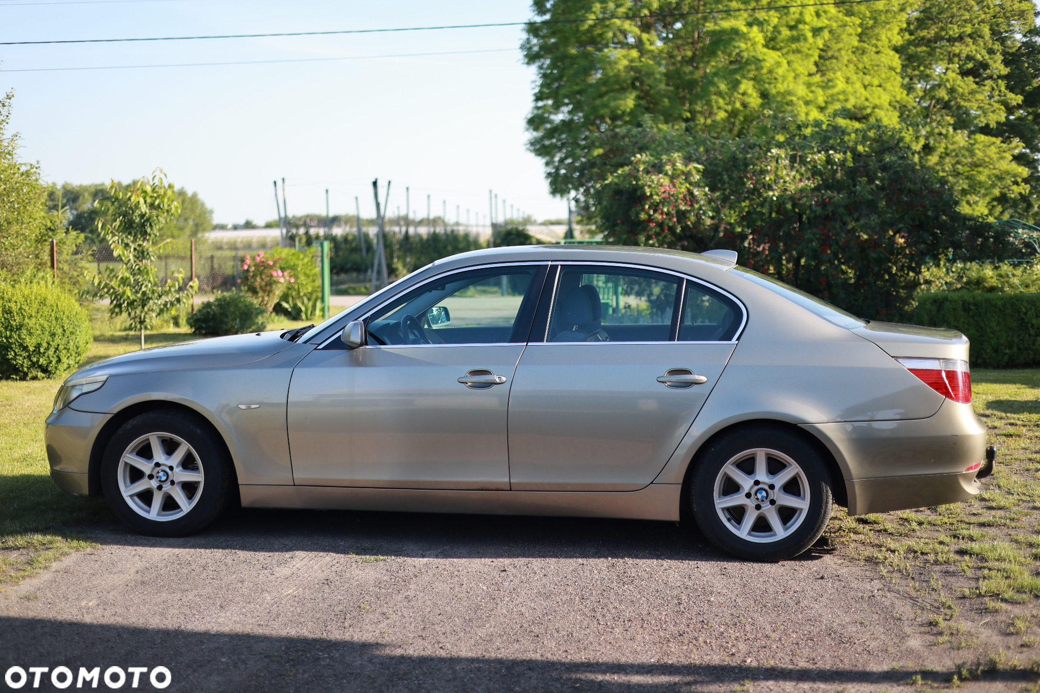 BMW Seria 5 525i - 4