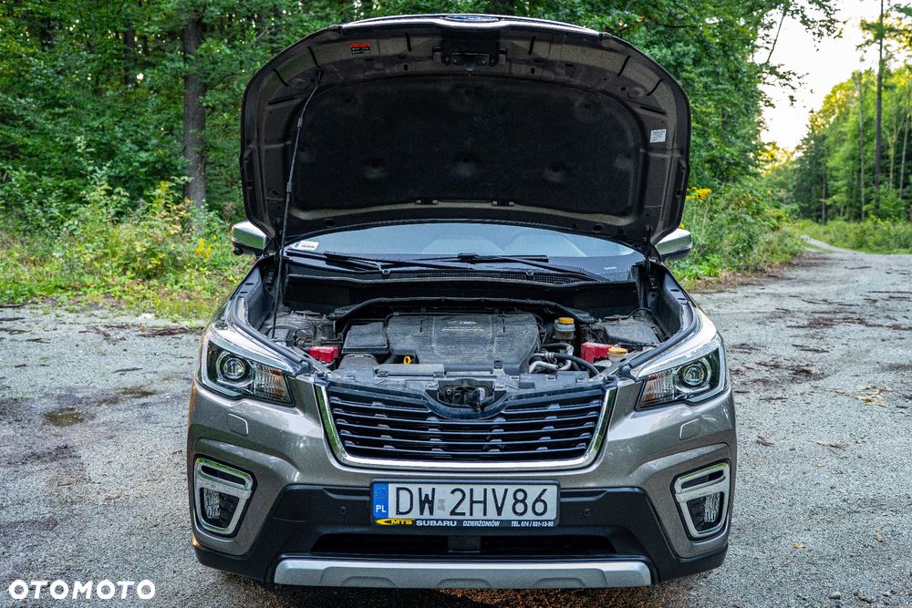 Subaru Forester 2.0i-L Platinum (EyeSight) Lineartronic - 14