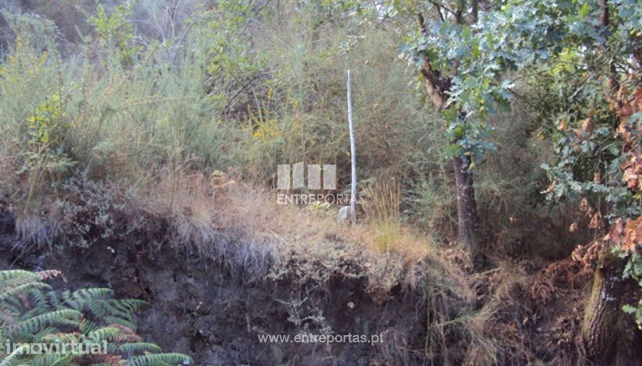 Venda Terreno, Vila Meã, Amarante - Grande imagem: 2/14