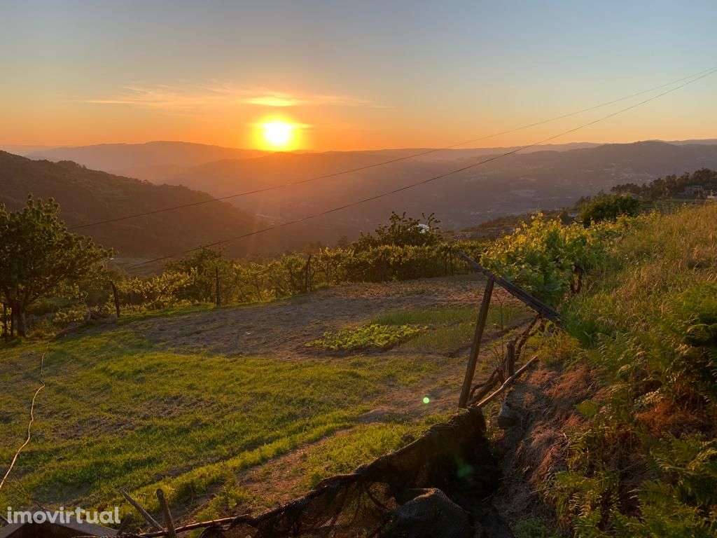 Terreno DOURO c/ projeto e licença! - Grande imagem: 2/14