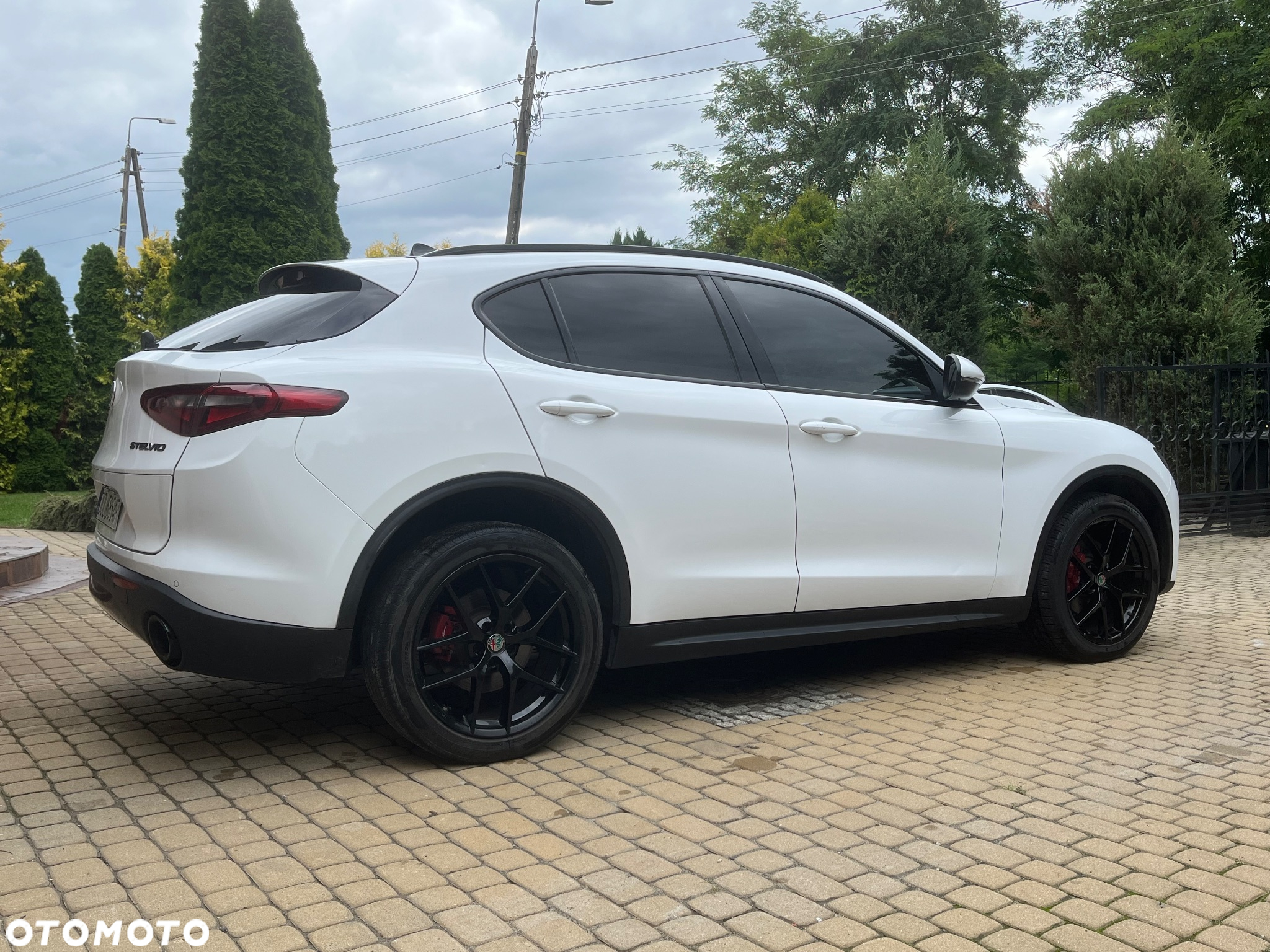 Alfa Romeo Stelvio 2.0 Turbo 16V AT8-Q4 Veloce Ti - 3