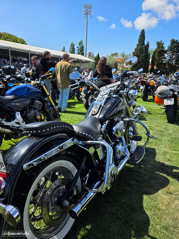 Harley-Davidson Softail - 5