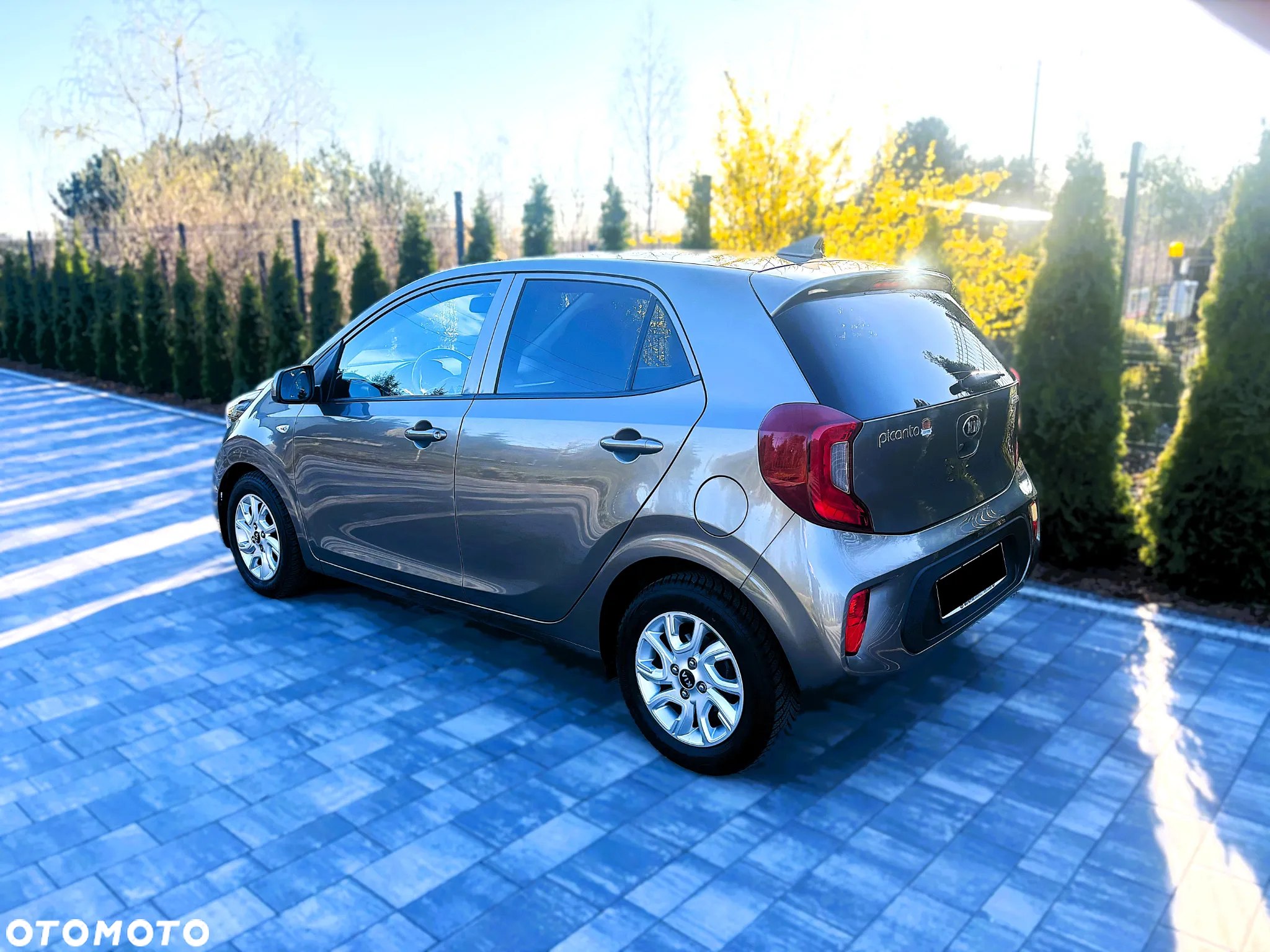 Kia Picanto - 7