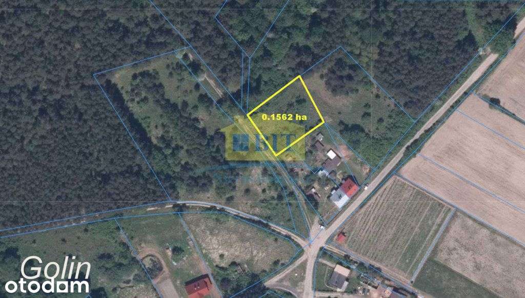 Działka budowlana 1562m2, Golin koło Człopy - Pełny obrazek: 2/13
