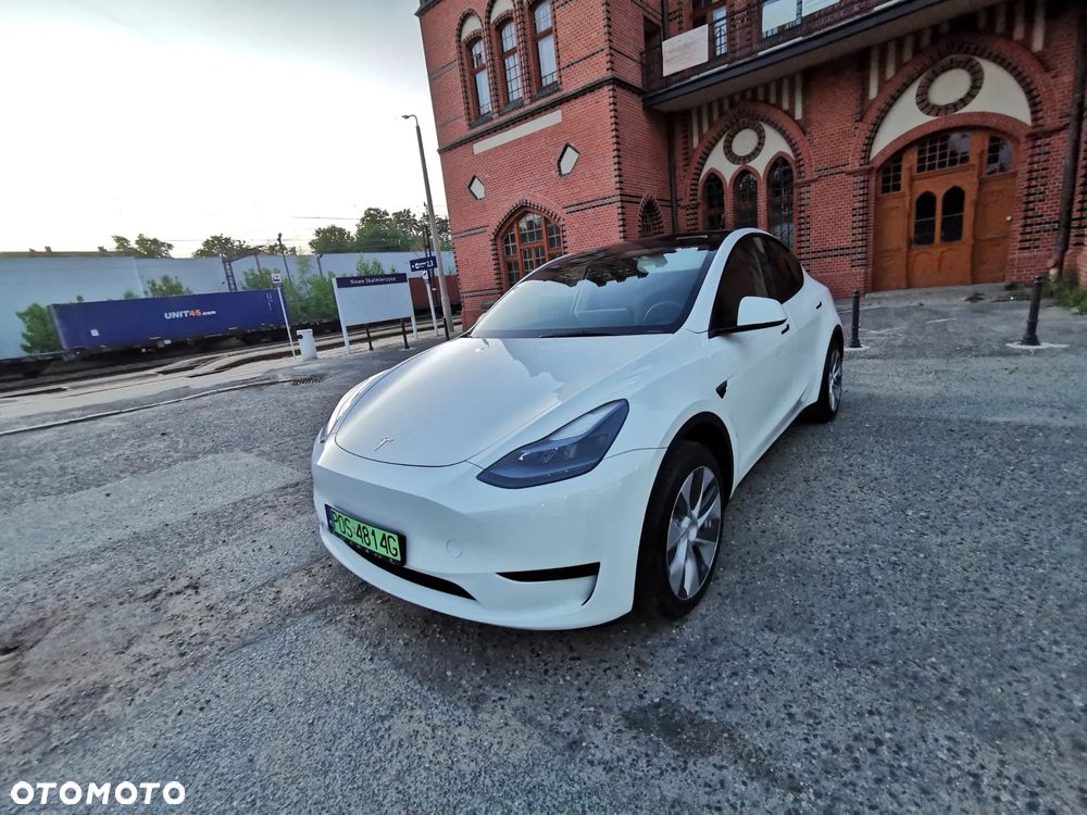 Tesla Model Y Standard - 1