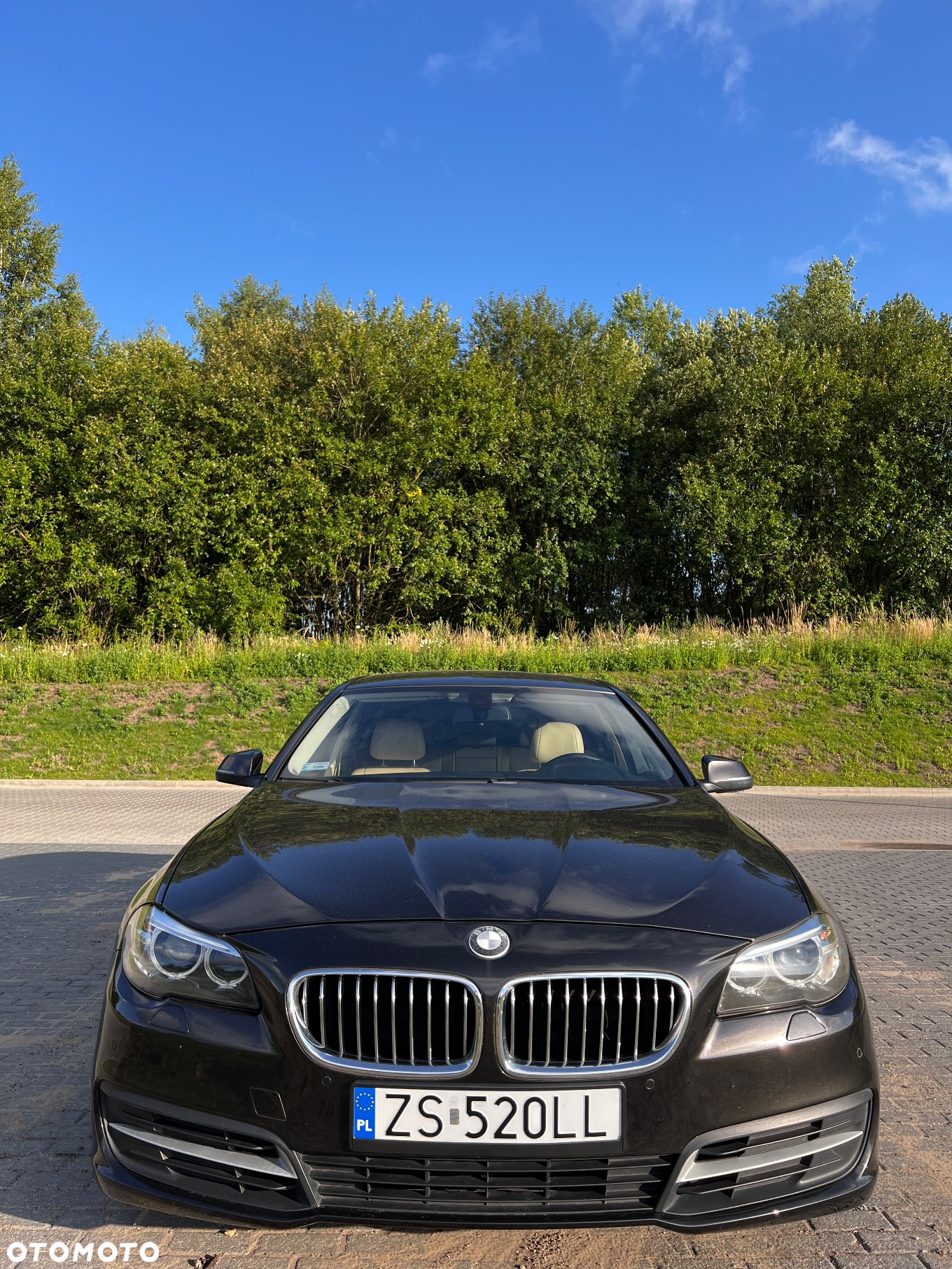 BMW Seria 5 520d Touring - 4