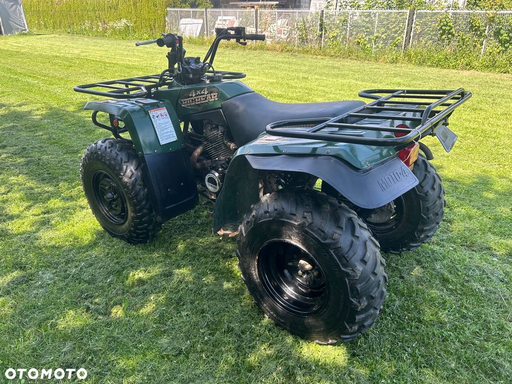 Yamaha Big Bear - 6