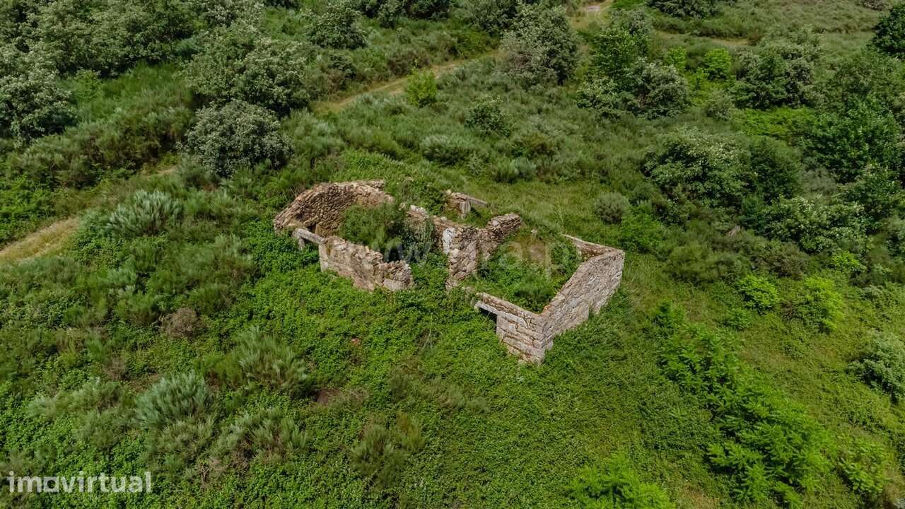 Quinta T4 / Seia, Folhadosa - Grande imagem: 4/20