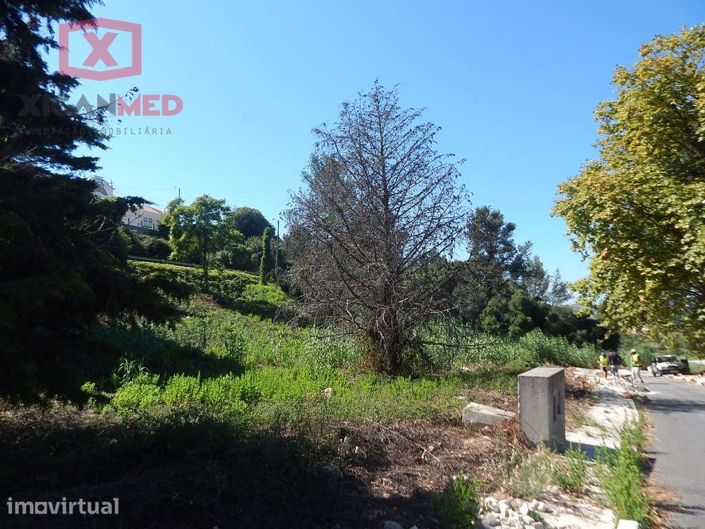 =PIP Aprovado=
Sintra - Centro - Grande imagem: 3/7