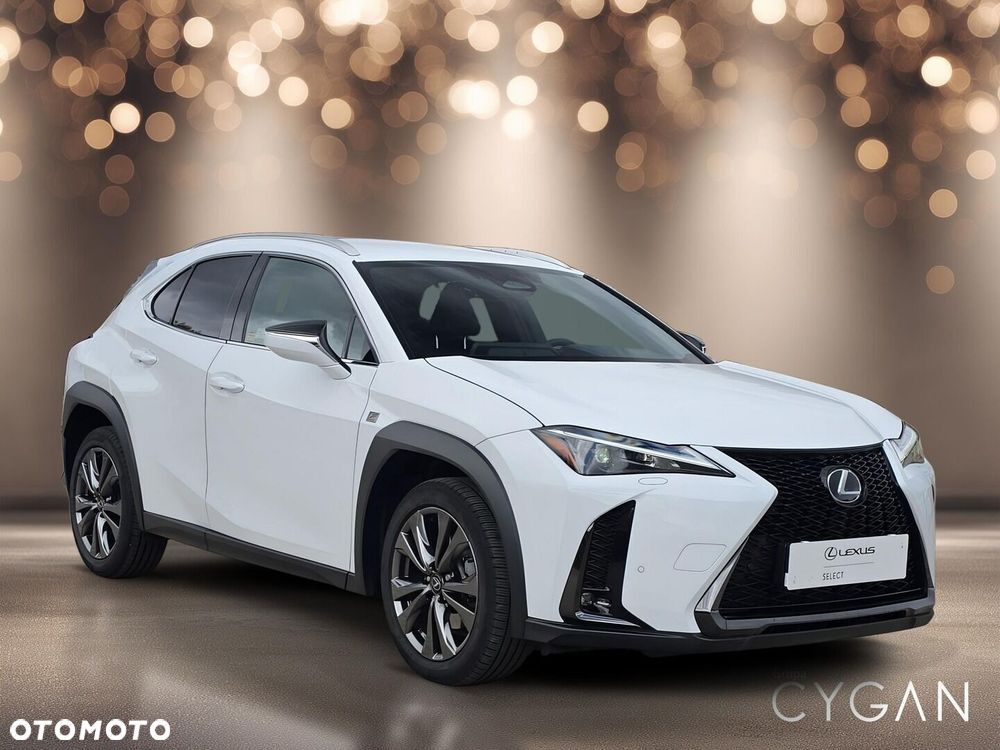 Lexus UX 300h F Sport Design - 9