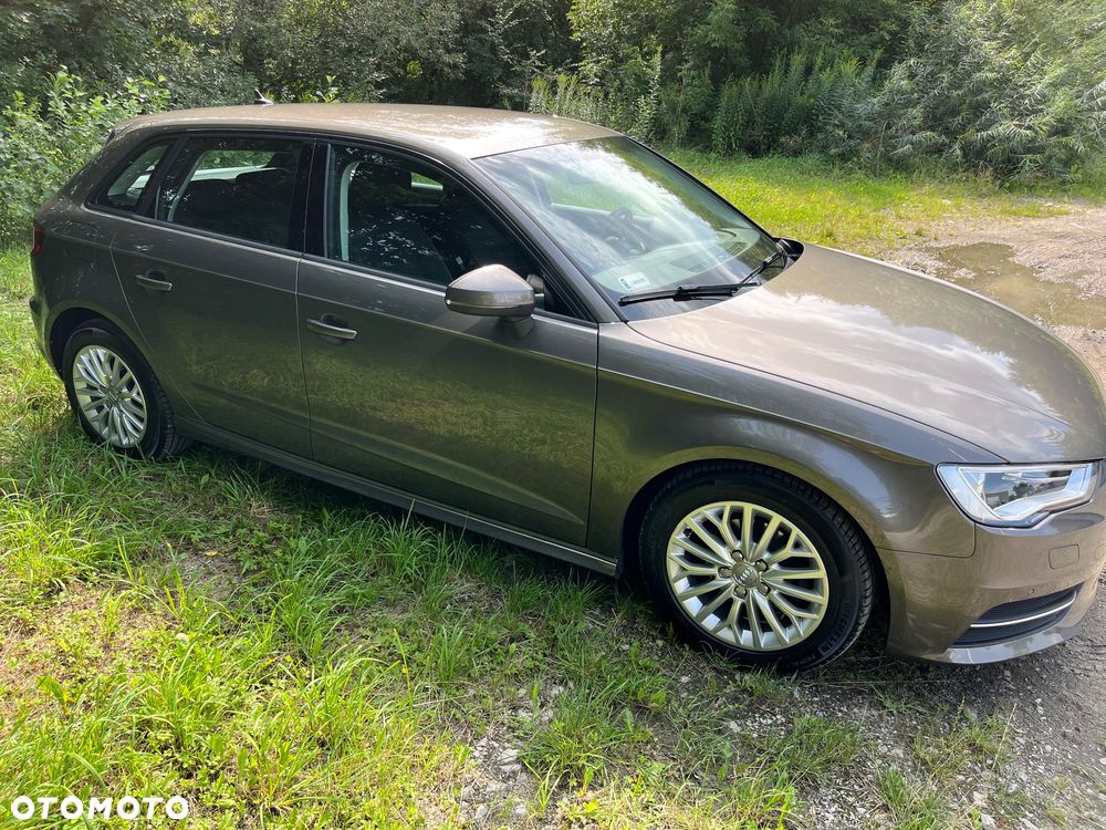 Audi A3 ver-1-6-tdi-ultra-attraction - 4