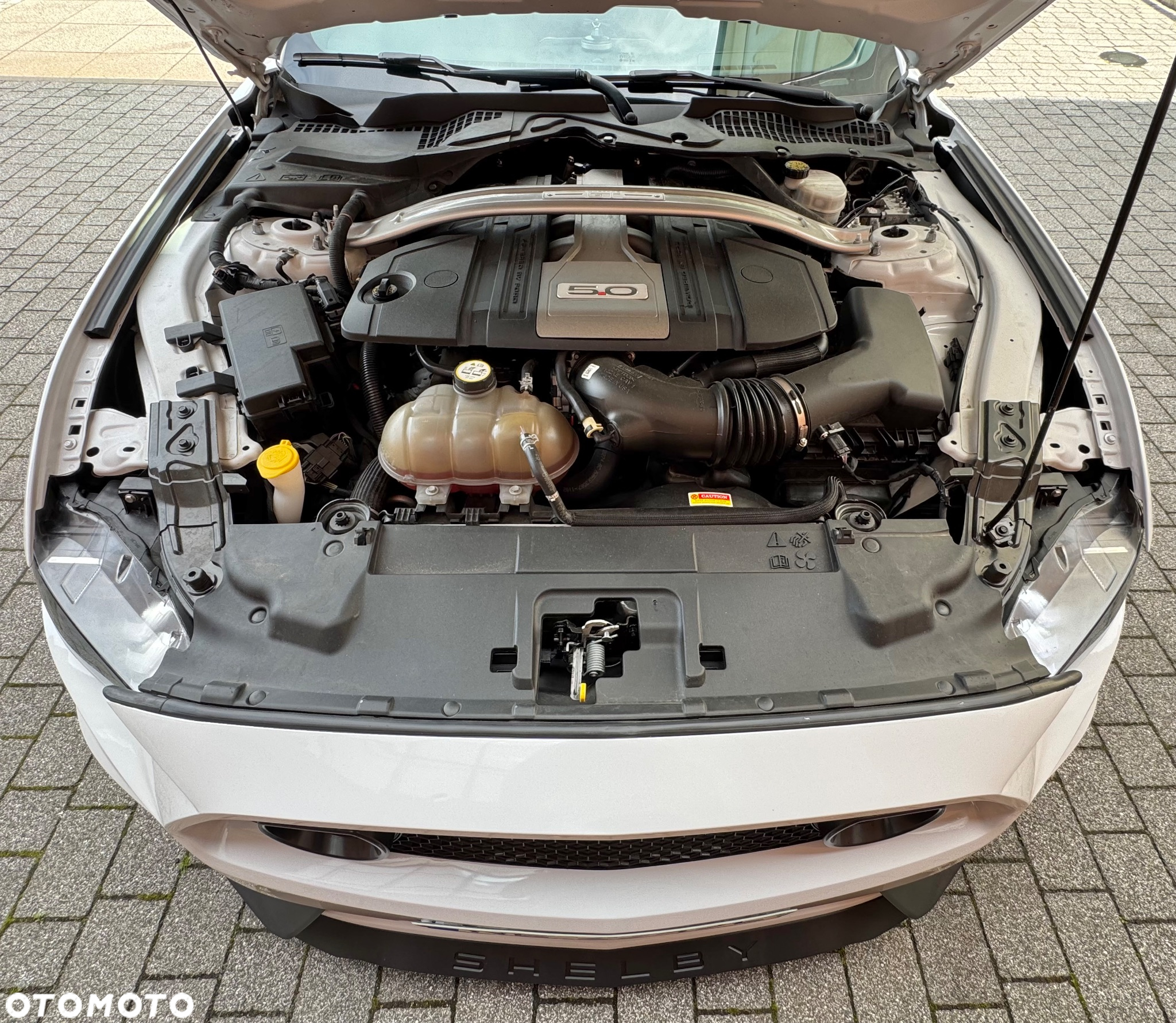 Ford Mustang 5.0 V8 GT - 25
