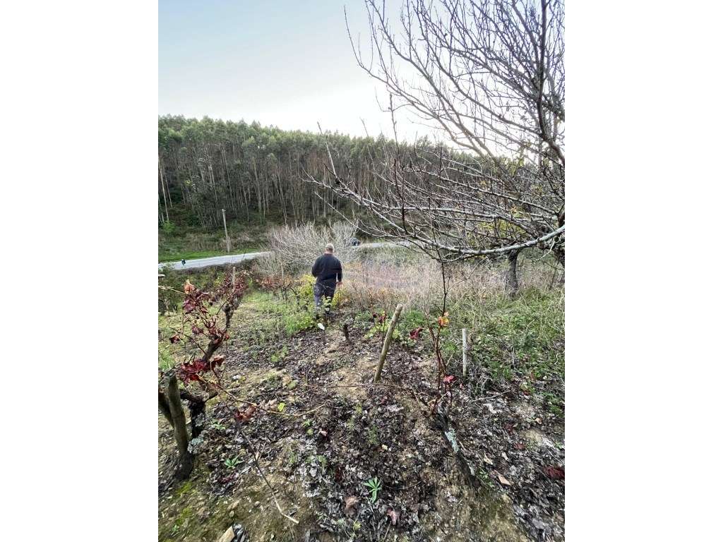 Terreno à venda em Torres Vedras zona da Barrocas, Santa Maria e Ma... - Grande imagem: 2/11