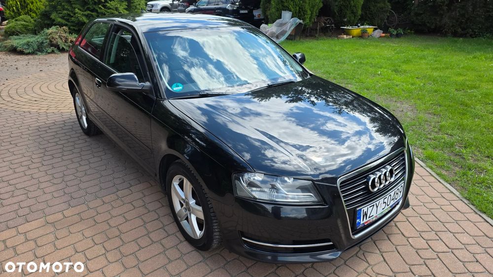 Audi A3 3-drzwiowe 1.6 TDI DPF Attraction - 12