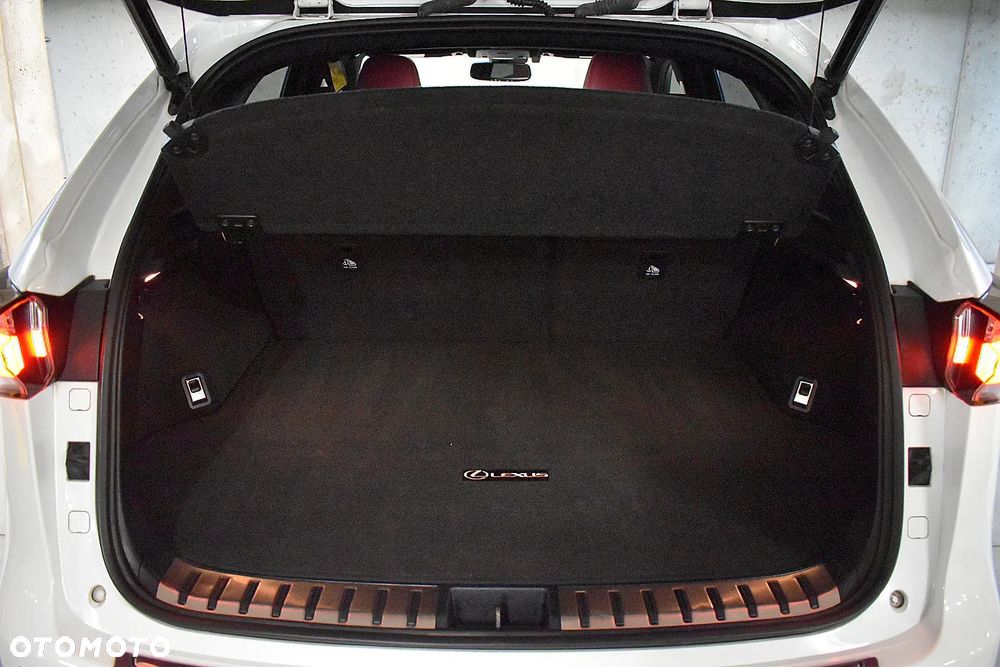 Lexus NX 300 AWD F SPORT - 22