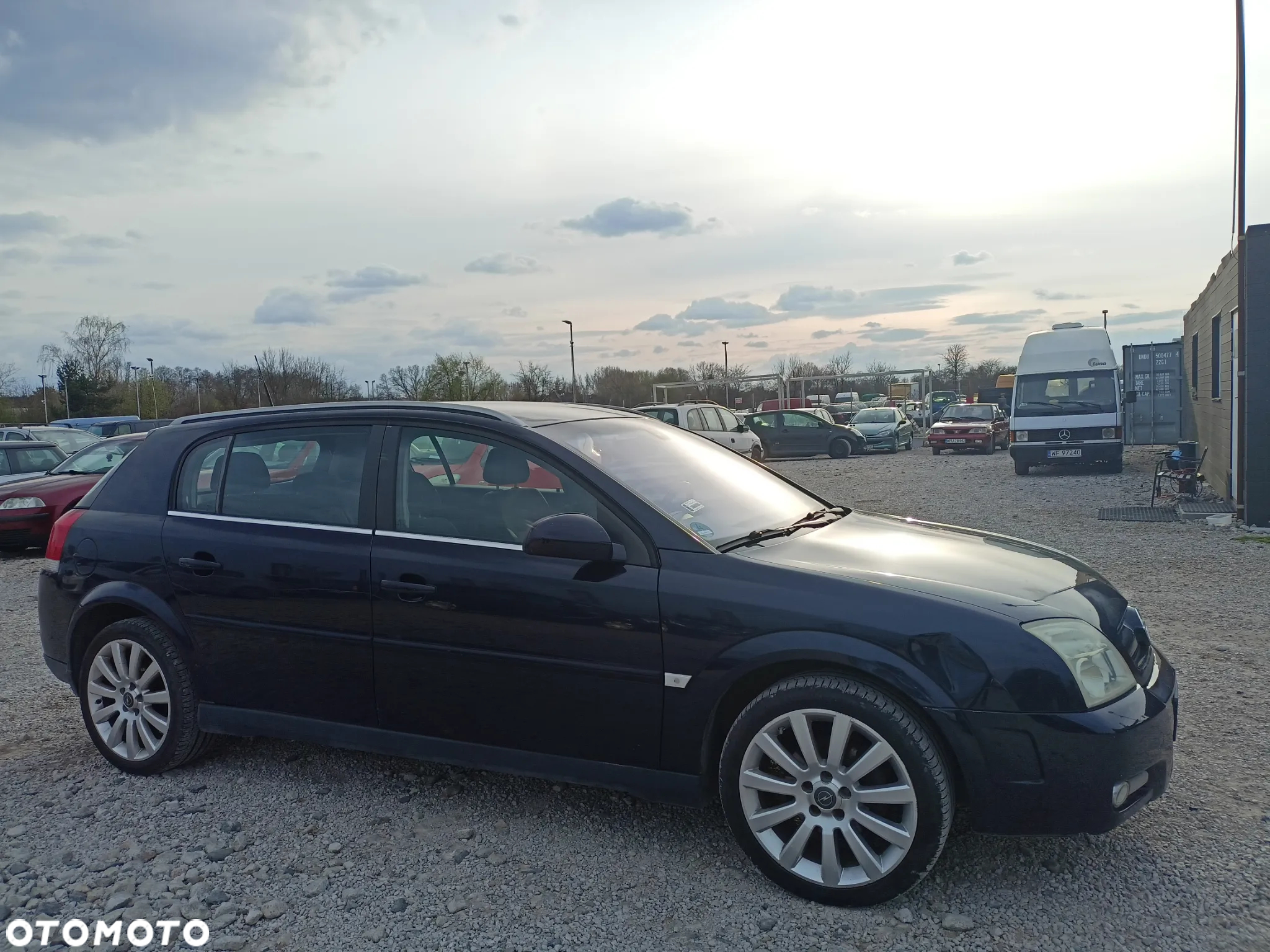 Opel Signum - 6