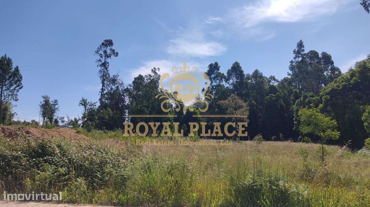 Terreno com 1200m2 em Santa Maria da Feira - Grande imagem: 5/6