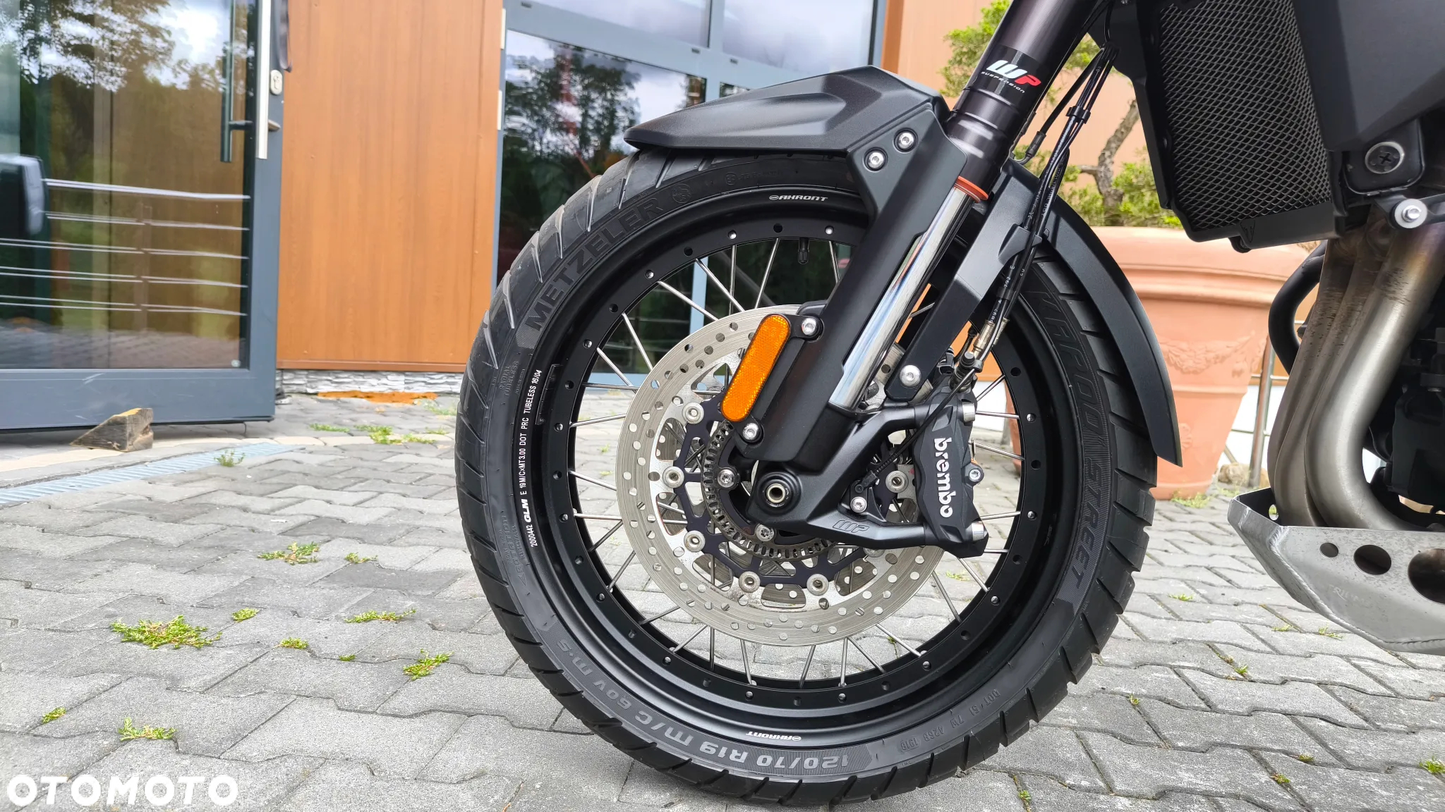 Triumph Tiger - 26