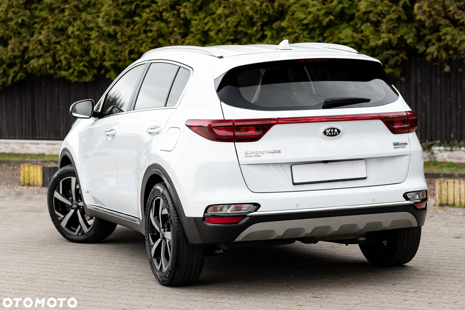 Kia Sportage 1.6 CRDI AWD Eco-Dynamics+ (48V M-H) DCT Vision - 8