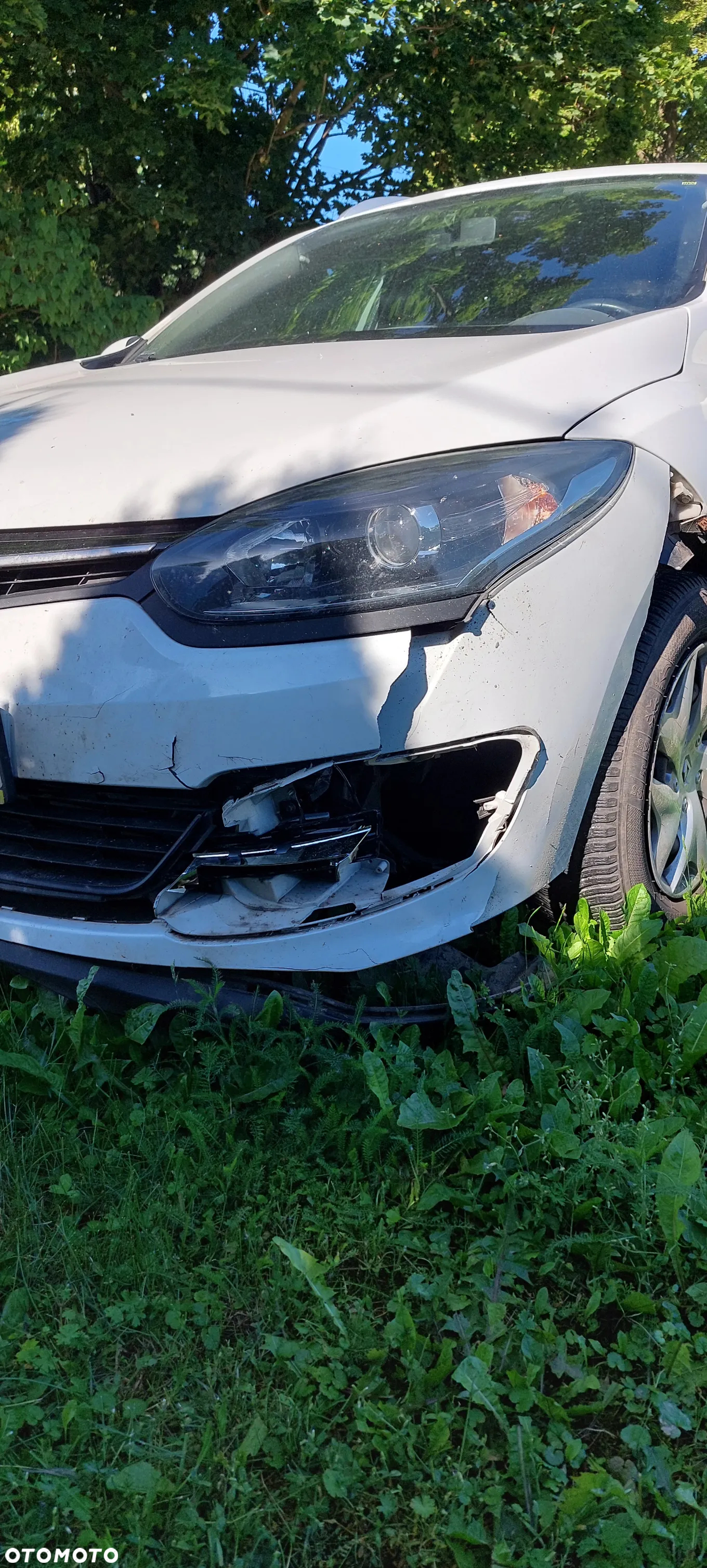 Renault Megane - 13