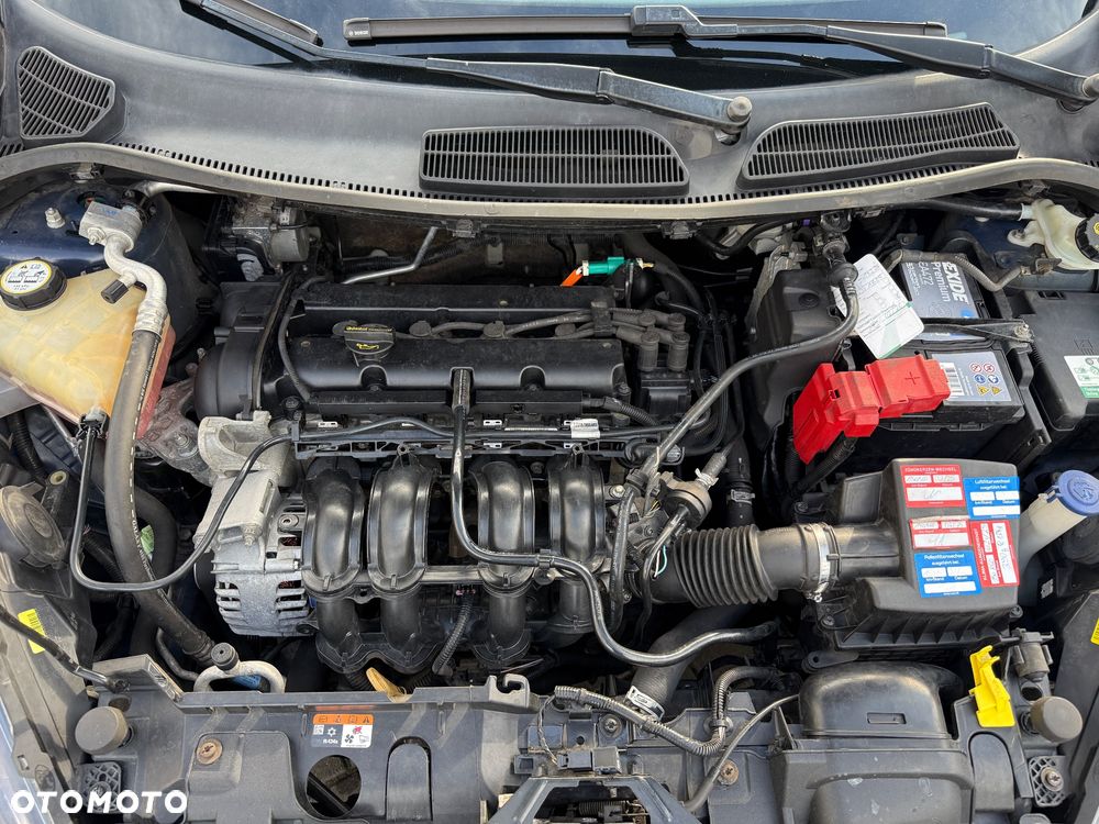 Ford Fiesta - 31