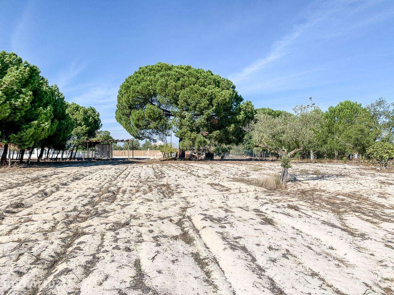 Terreno rústico com 2.600 m² - Vale Gamito, Quinta do Amaro, Grândola - Grande imagem: 2/11