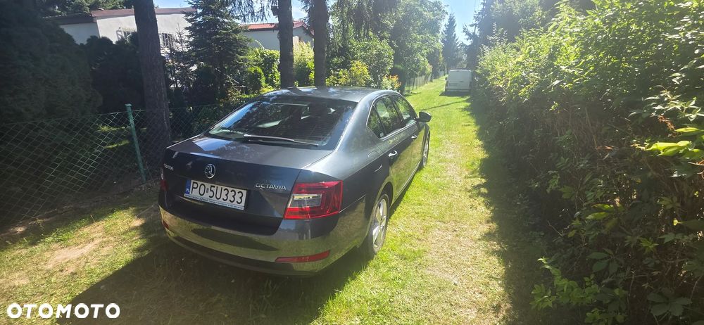 Skoda Octavia - 9