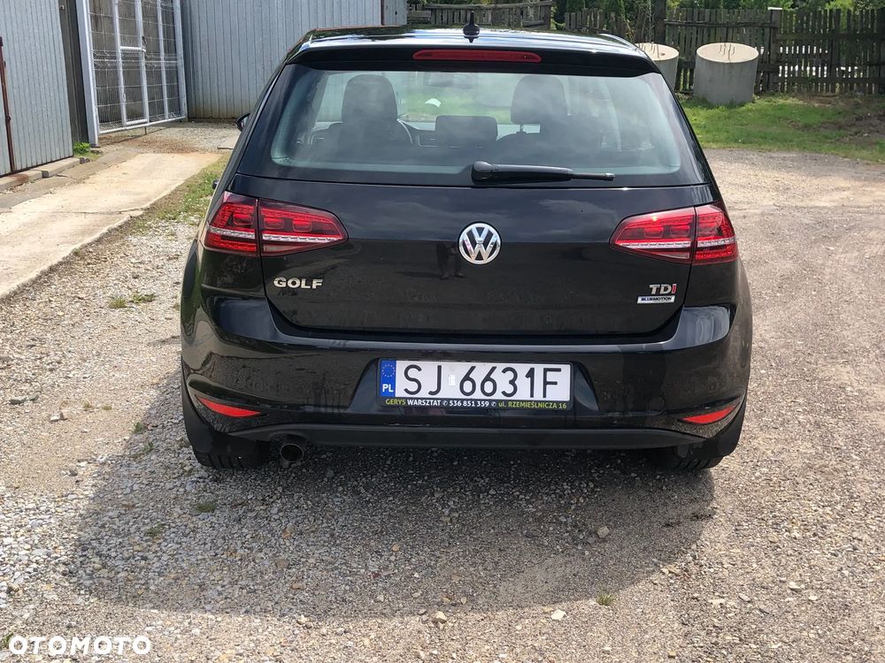Volkswagen Golf 1.6 TDI BlueMotion Technology DSG Allstar - 27