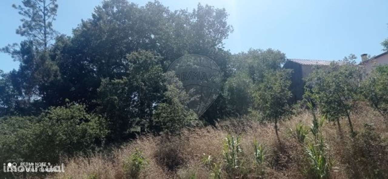 Terreno  para venda - Grande imagem: 4/6