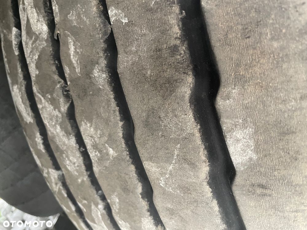 Schmitz Cargobull - 10