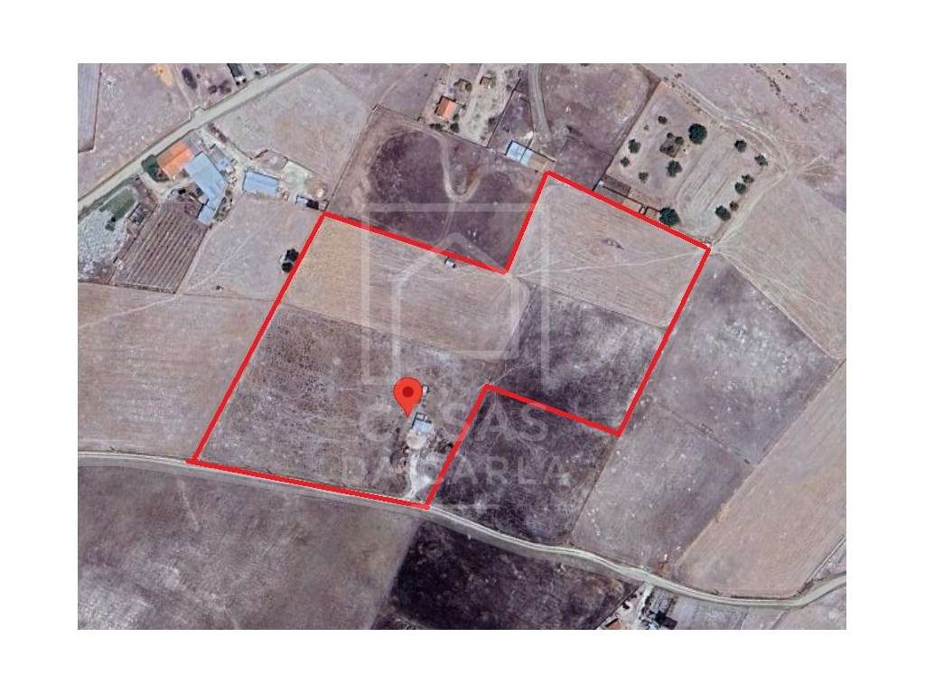 Terreno rústico com 1.8 hectares em Pias - Grande imagem: 3/15