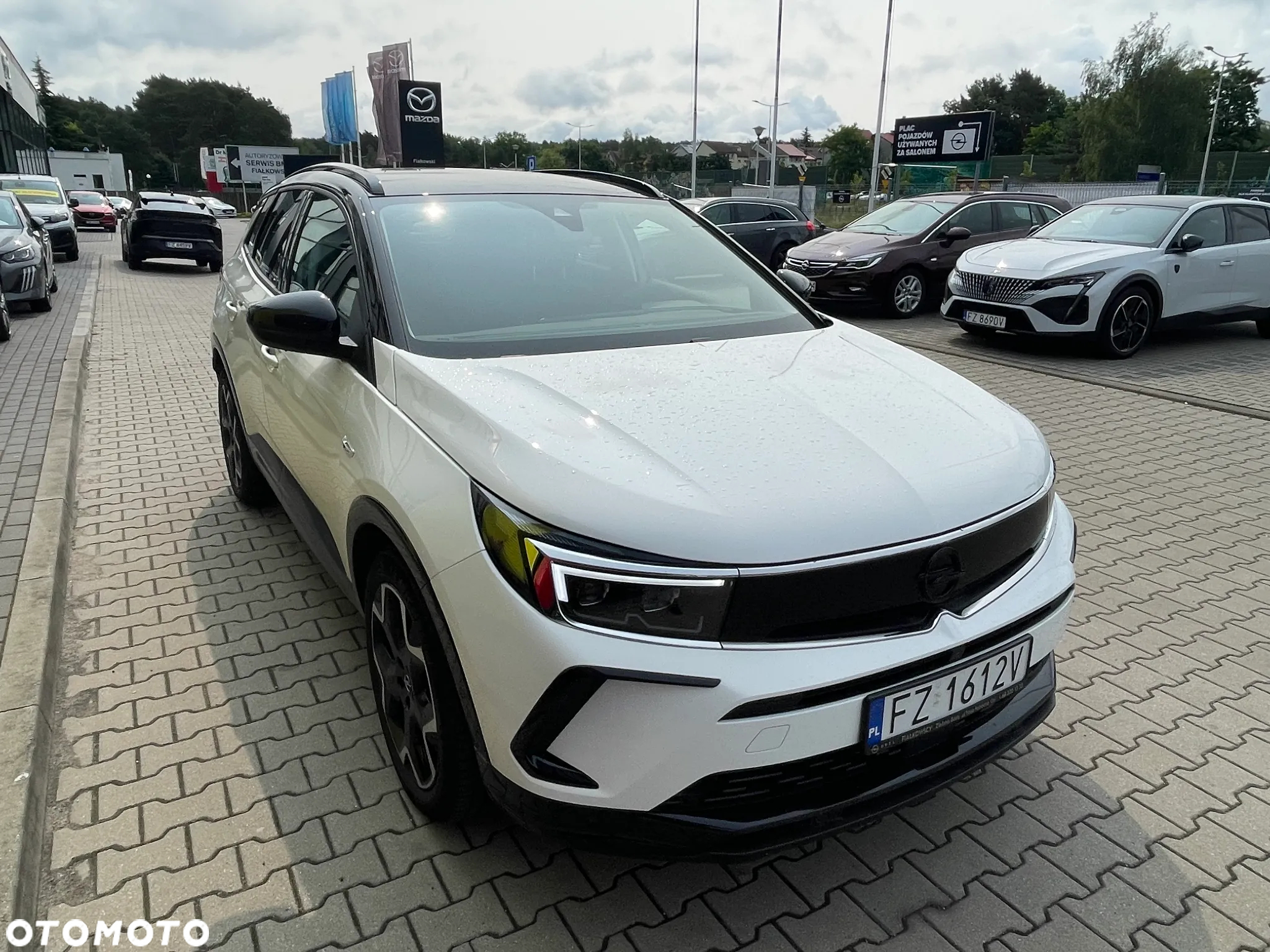 Opel Grandland X - 3