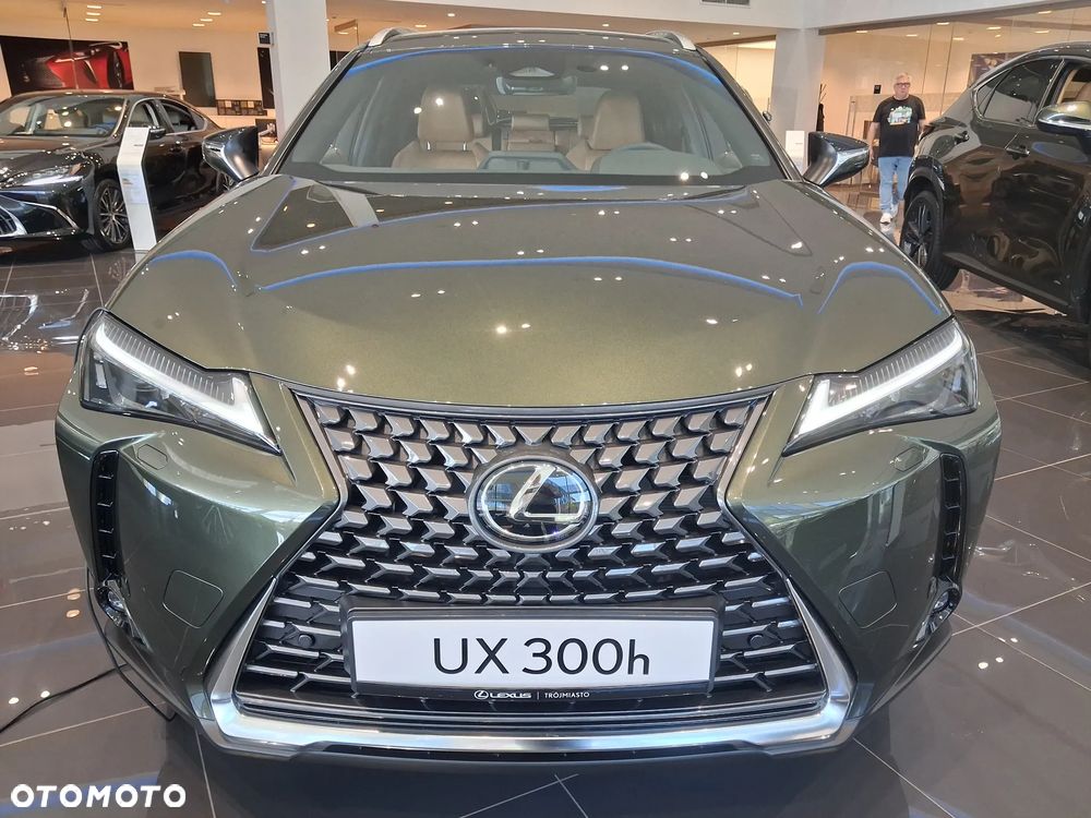 Lexus UX 300h Business - 3