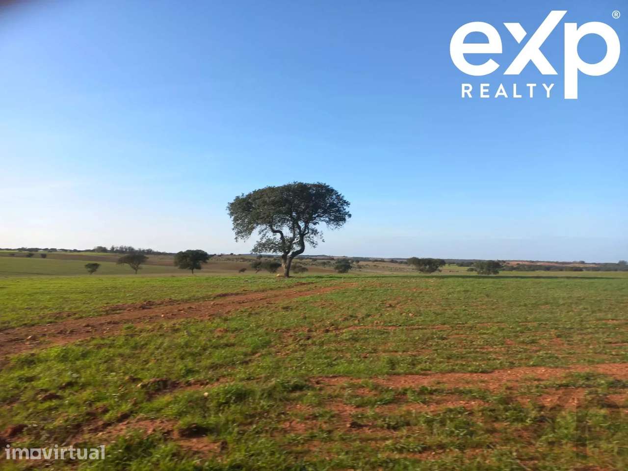 Herdade para Gado - Baixo Alentejo  (Seguro para investidores, fundos - Grande imagem: 4/24