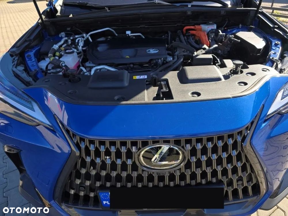 Lexus NX - 6