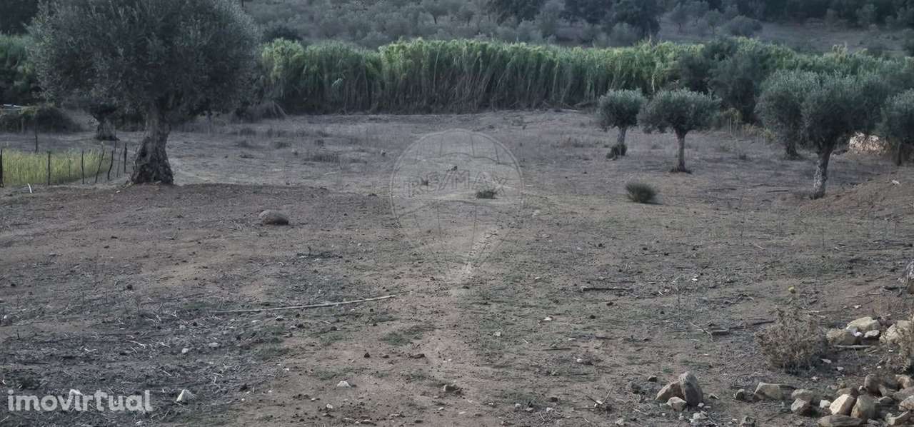 Tereno com agua e luz para agricultura - Grande imagem: 5/12