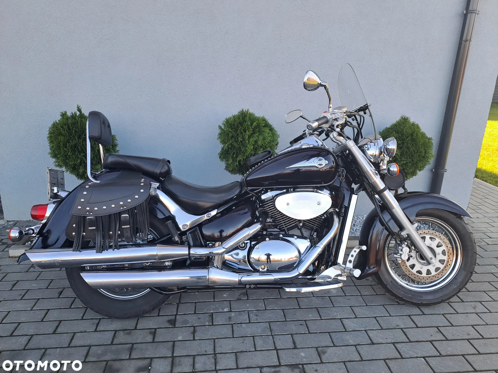Suzuki VL 800 Volusia - 2