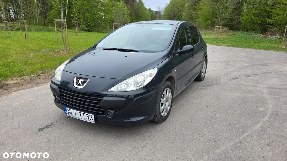 Peugeot 307 1.4 Trendy (klm) - 1