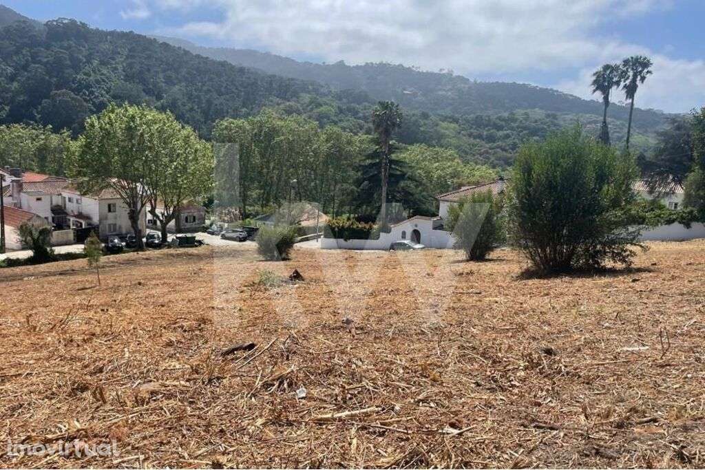 Terreno para construção em Colares - Grande imagem: 5/6