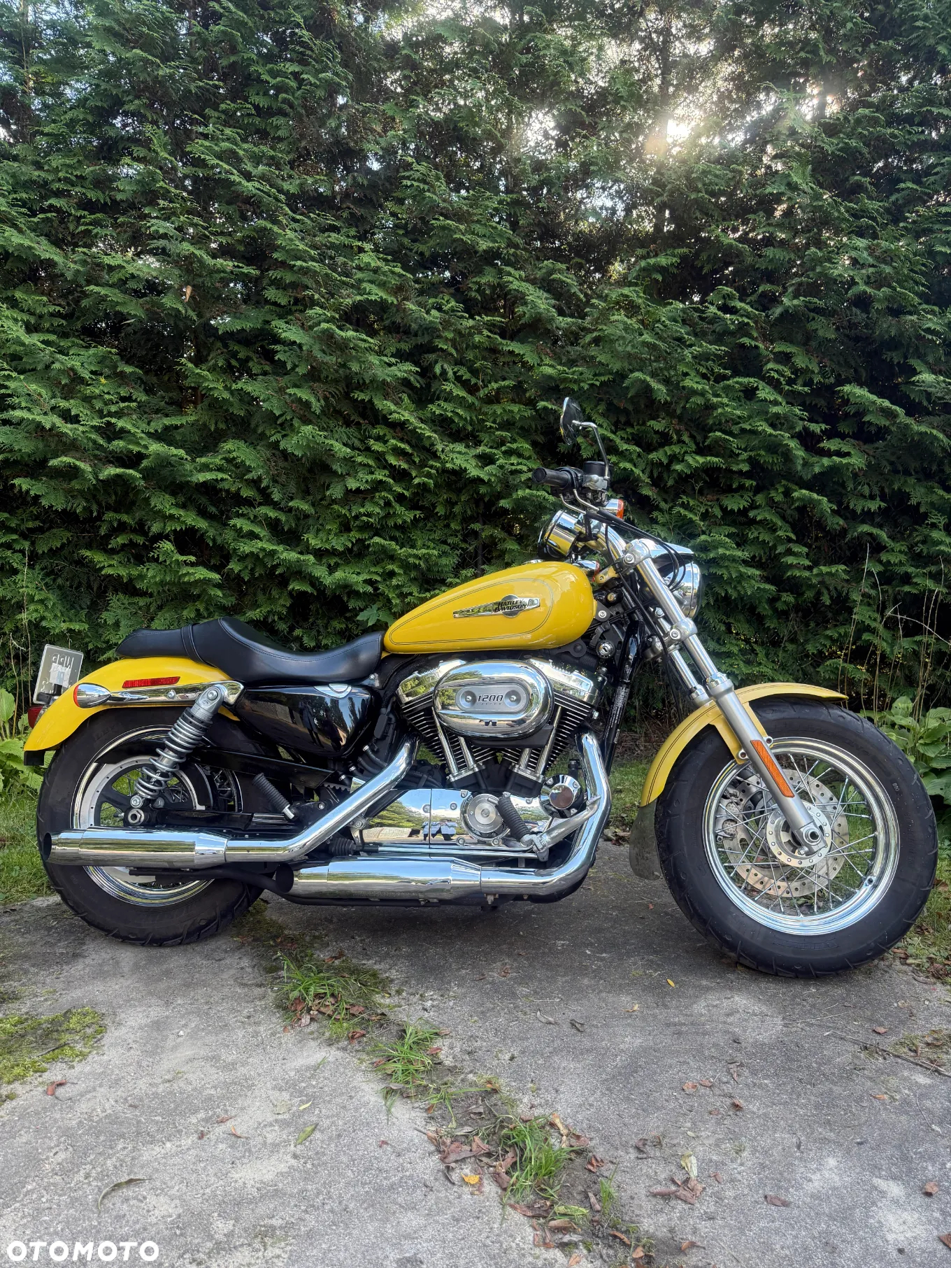Harley-Davidson Sportster Custom 1200C - 4